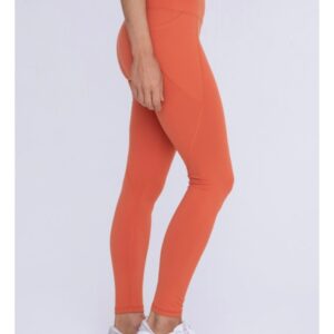 Product Image for  Persimmon Solid Highwaist Leggings